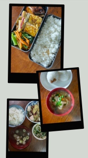 �����H�ׂ�������