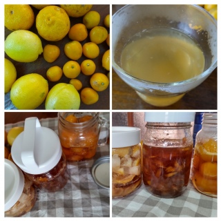 �~�̎蓖�ĐH�̎d����