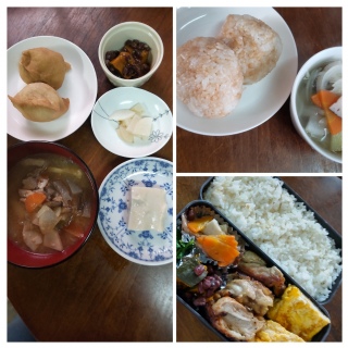 �����̂��͂�̋L�^