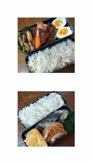 1��9�� 2���Ԃ̂��ٓ��̋L�^