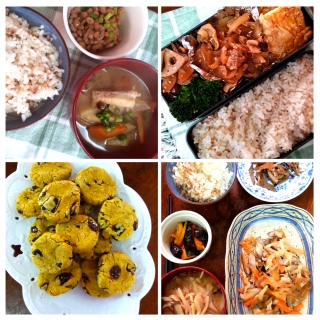 1��13�� ��������L�^���ĊJ���܂�