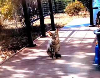 �t�̕�����