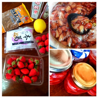 �G�߂̎���🍓�̂ɂ₳�����t���[�c�\�[�X�̍���