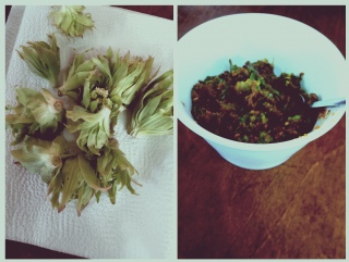 �t�̎���🌱�ӂ��̂Ƃ��݂�