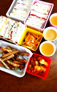 �t�̃s�N�j�b�N�ٓ�