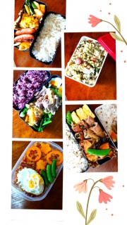 ���T�̂��ٓ��̋L�^