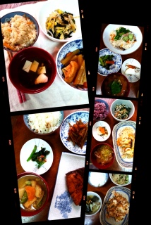 ���T�̗[���͂�̋L�^