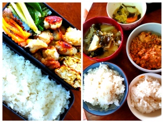 ���ٓ�&�����͂�