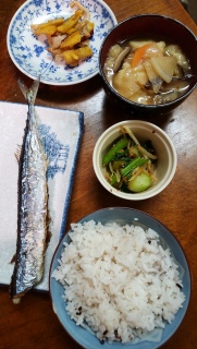 ���� �H�����̉��Ă�����🐟️